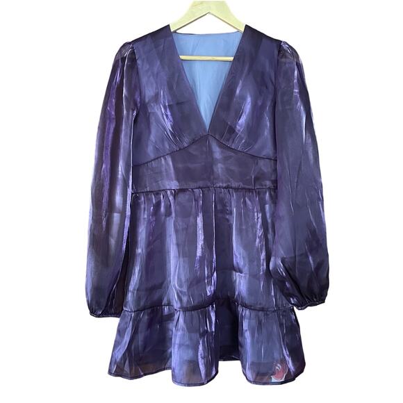Cider Purple Sheer Mini Dress - Picture 2 of 7